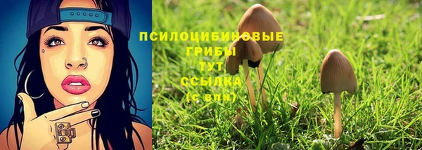 не бодяженный Верхний Тагил