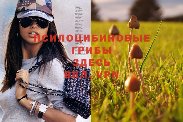 не бодяженный Верхний Тагил