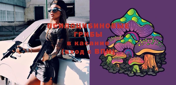 spice Верея