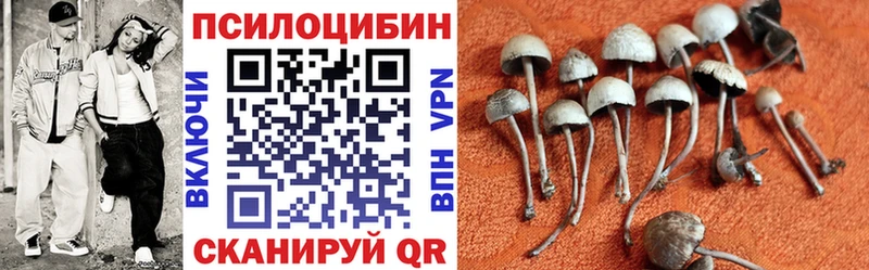 Галлюциногенные грибы GOLDEN TEACHER  Петрозаводск 